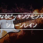 ショーンレインという偉大なるピッキングモンスターについて語りたい