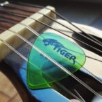 ピックにこだわる必要がある人とこだわる必要がない人がいると思う件