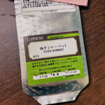 ルピシアの柚子シャーベット飲んでみた。まずいか美味しいか検証だ