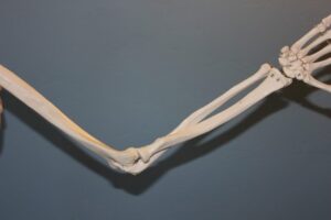 「エルボーピッキングの正体」エルボーピッキングは発展途上のピッキングである