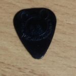 「ピックレビュー80」キュウソネコカミのオカザワカズマシグネイチャーピック使ってみた