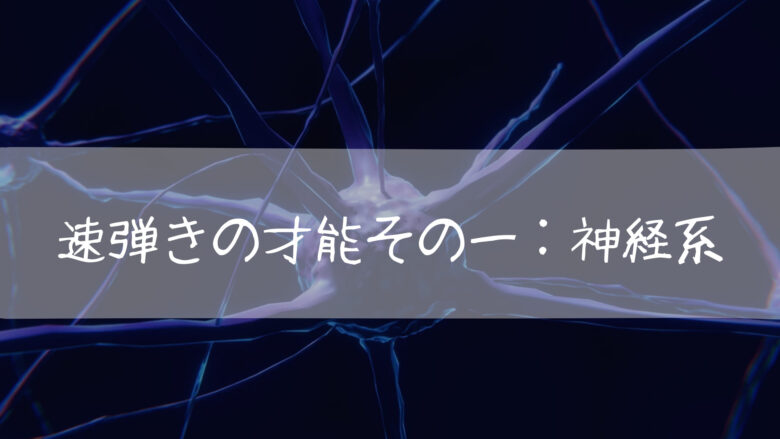 速弾きの才能その一:神経系