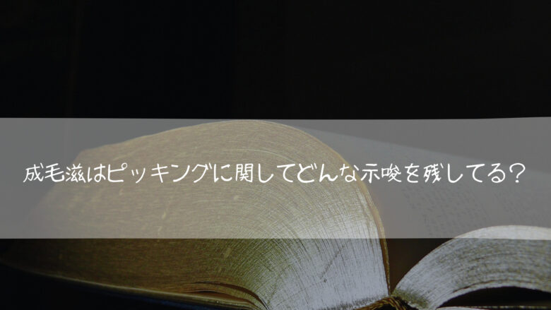 成毛滋はエレキギターのピッキングに関してどんな示唆を残しているのか?