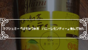 ラクシュミーの「はちみつ紅茶 ハニーレモンティー」飲んでみた。おいしいのかまずいのか検証