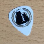 「ピックレビュー83」Novelbrightの沖聡次郎シグネイチャーピック使ってみた