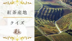 【紅茶産地クイズ】何問わかる?紅茶の産地と味の関係に詳しくなる15問!